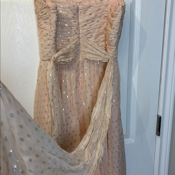⭐️ Jill Stuart Strapless Light Peach Silk Gown with Silver Accents - size 8 - Picture 9 of 13